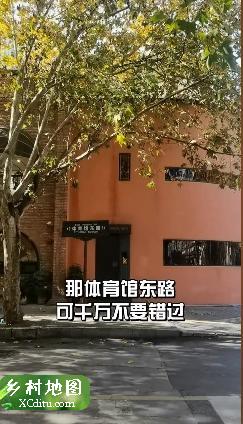 西安宝藏街道体育馆东路，据说这里是西安Z出片的地方。 1_乡村地图网