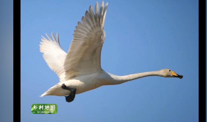 旅游推荐：辽宁朝阳六大最美湿地公园，小资休闲度假必打卡 6_乡村地图网