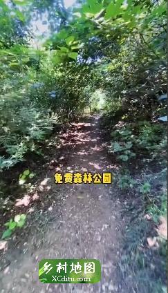 北京丰台的免费森林公园能看飞机戏水爬山，老少皆宜！@抖音城市玩家 1_乡村地图网