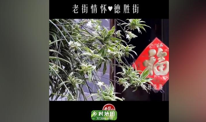 闲来无事，可以到德胜街走走。庭院深深，花开花落，在这里有着四季的变换。老建筑隐没在钢筋水泥的新房旁。1_xcditu.com