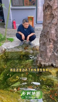 平谷银杏山庄，这的景色没治了，适合露营帐篷，团建过了特殊时期一定来打卡5_xcditu.com