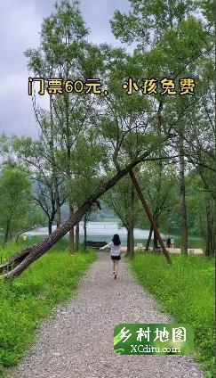 这里有高山、草地、森林、湖泊、小溪，适合 团建、溜娃、遛狗、露营1_乡村地图网