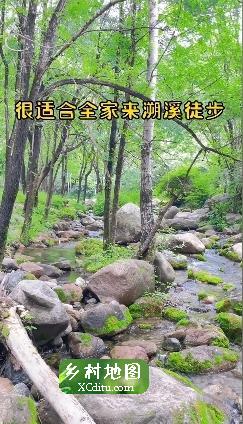 这里有高山、草地、森林、湖泊、小溪，适合 团建、溜娃、遛狗、露营3_乡村地图网